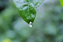 Quartz Job和JobDetail详解