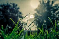 Quartz Trigger详解